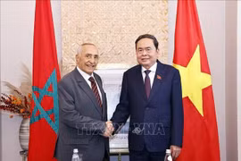 越南国会主席陈青敏会见摩洛哥与越南友好协会主席穆斯塔法·艾尔·凯提里。图自越通社