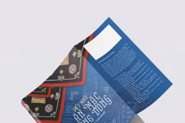 介绍越南文化的书籍即将在中国出版。图自VOV
