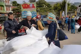 附图。图自越通社