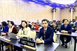 越南代表团。图自越通社