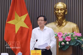 胡国勇副总理发表讲话。图自越通社