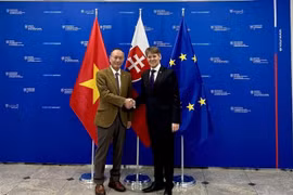 越南驻斯洛伐克大使范长江和斯洛伐克外交部第一国务秘书（第一副部长）马雷克·埃什托克。图自越通社