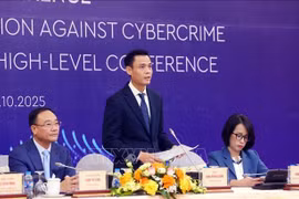 越南外交部副部长邓黄江发表讲话。图自越通社