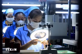 尽管受台风洪涝影响，越南制造业PMI指数仍保持增长势头 。图自越通社