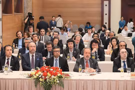 国内外记者出席国际新闻发布会。图自越通社