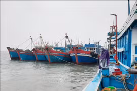 附图。图自越通社