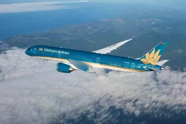  越南国家航空公司的飞机。图自越通社
