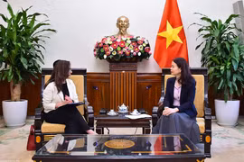 越南外交部副部长阮明姮会见智利副外长格洛丽亚·德拉富恩特。图自越通社