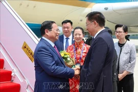 津市副市长王秀峰前往天津滨海国际机场迎接越南政府总理范明政及越南代表团。图自越通社