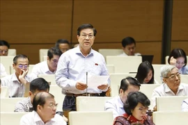庆和省国会代表杜玉盛发言。图自越通社