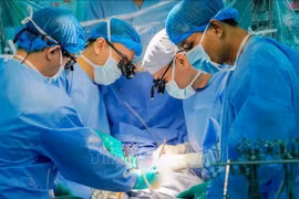 1月4日夜间，移植手术紧急开展。图自越通社