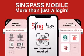 新加坡推动使用Singpass打击网络诈骗。图自越通社