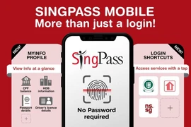 新加坡推动使用Singpass打击网络诈骗。图自越通社