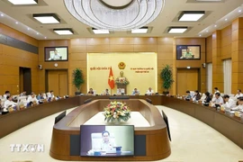 国会主席陈青敏在国会常务委员会一个会议上发言。图自越通社