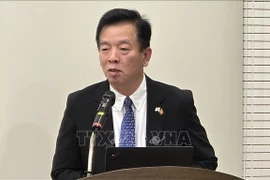 越南驻韩国大使武湖。图自越通社