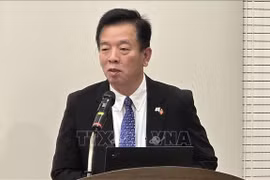 越南驻韩国大使武湖。图自越通社