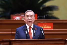 新任越共中央总书记苏林。图自越通社