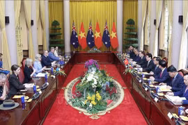 会谈现场。图自越通社