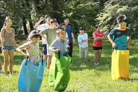  “华盛顿越南村家庭日”活动在美举行。图自越通社