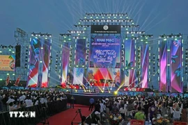 庆和省2025年海洋文化旅游节开幕。图自越通社