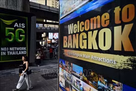 附图。图自越通社