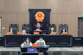 河内市人民法院于7月11日上午对发生在福山集团股份公司的案件作出一审判决。图自越通社