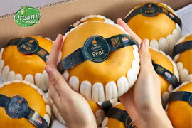 附图。图自organicfood.vn