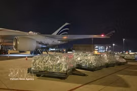 近100吨越南果蔬通过空运进军阿联酋市场。图自越通社