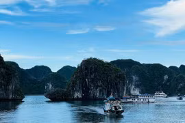 在“蓝湾58号”游船翻覆事故发生后，广宁海洋旅游需完善安全流程。图自