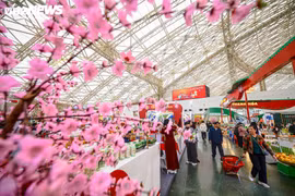 2026年春季博览会：前两日吸引超过3.2万人次参观购物。图自越通社