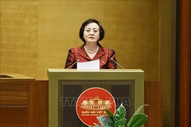 内务部长范氏青茶在会议上发表讲话。图自越通社