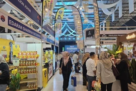 马六甲国际清真产品博览会（Melaka）的一角。图自越通社
