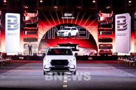 附图。图自越通社