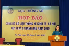 统计局局长阮氏香发表讲话。图自Vietnam+