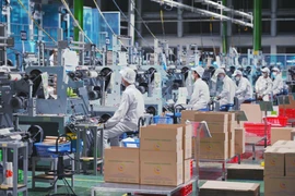 第68号决议助力实现到2030年拥有200万家企业的目标。图自越通社