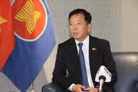 越南驻韩国大使武湖。图自越通社