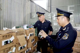 谅山省友谊国际口岸海关力量在口岸区域仓库对进口货物标签进行检查。图自越通社