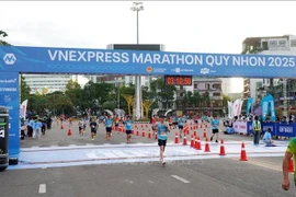 12000名选手参加2025年归仁VnExpress马拉松赛。图自越通社