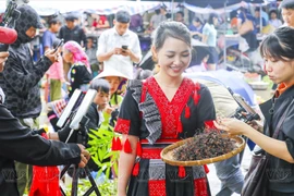 为了说服远方顾客下单，直播的农产品必须确保品质、纯净和安全。图自越通社