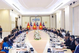 越南政府总理范明政与马来西亚总理安瓦尔·易卜拉欣举行会谈。图自越通社