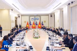 越南政府总理范明政与马来西亚总理安瓦尔·易卜拉欣举行会谈。图自越通社