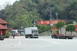 进出口货物通过谅山友谊国际口岸通关的运输车辆。图自越通社