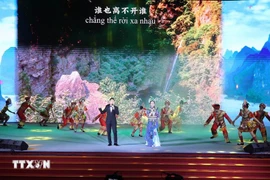 “中越一家亲 天涯共此时”文艺晚会在岘港市举行。图自越通社