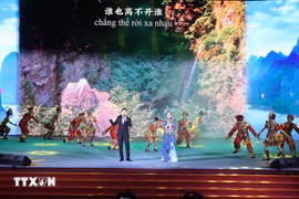 “中越一家亲 天涯共此时”文艺晚会在岘港市举行。图自越通社