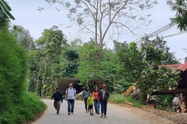 浦良生态旅游和社区旅游正成为重要杠杆，助力消除贫困。图自越通社