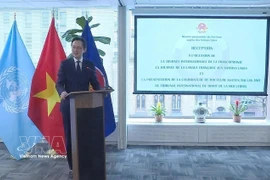 越南常驻联合国代表团团长杜雄越大使在活动上致辞。图自越通社