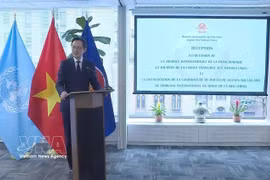 越南常驻联合国代表团团长杜雄越大使在活动上致辞。图自越通社