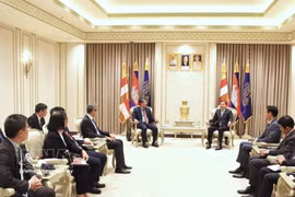 越共中央委员、外交部常务副部长阮明羽在金边拜会了柬埔寨王国第一副首相涅沙文。图自越通社