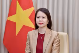 越南外交部副部长阮明姮。图自越通社