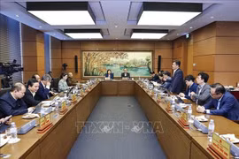 国会代表分组讨论。图自越通社